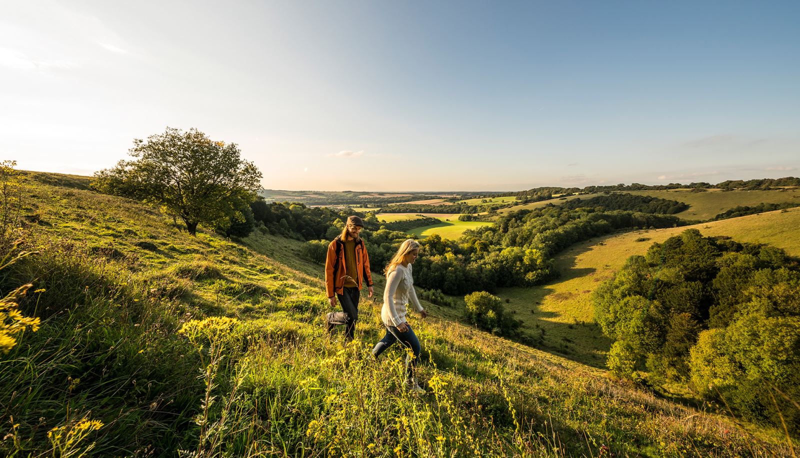 Views from Old Winchester Hill in the South Downs National Park